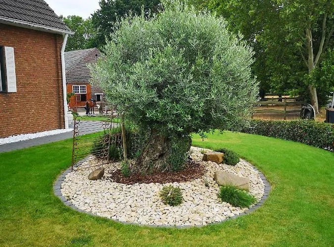 Casa Mediterrana 埃克拉特